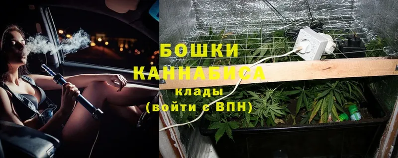 Шишки марихуана SATIVA & INDICA  Бородино 